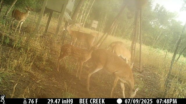 000 Bee Creek Road, Grandview, TX 76050