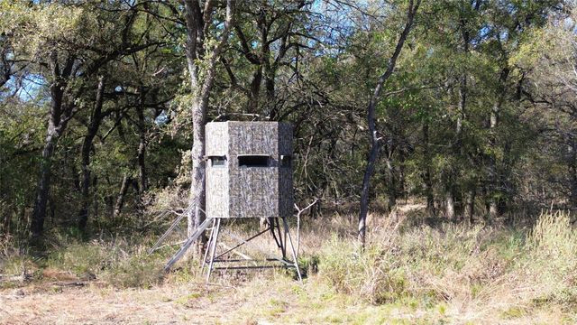 000 Bee Creek Road, Grandview, TX 76050