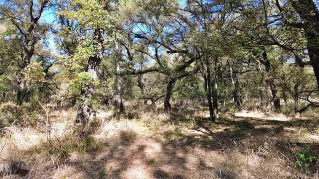 000 Bee Creek Road, Grandview, TX 76050
