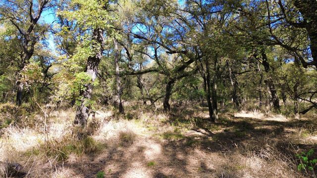 000 Bee Creek Road, Grandview, TX 76050