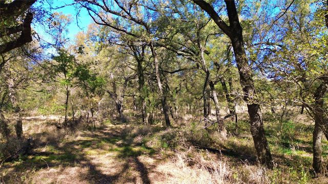 000 Bee Creek Road, Grandview, TX 76050