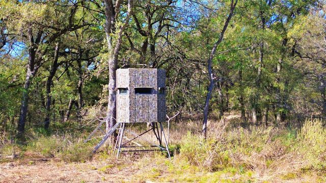 000 Bee Creek Road, Grandview, TX 76050