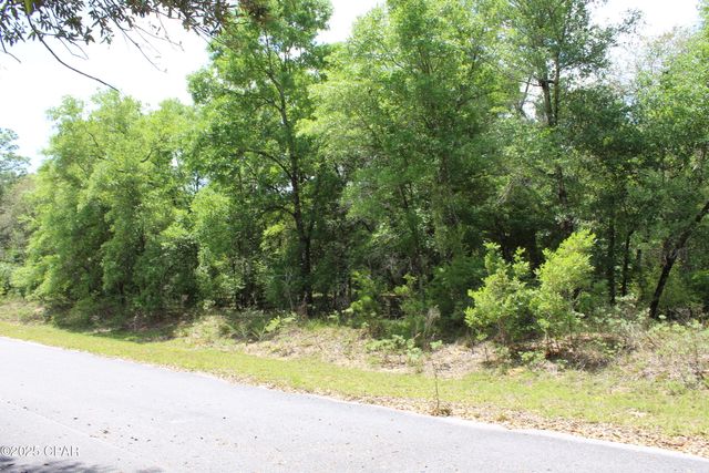 Lot 5 Arnone Lane, Chipley, FL 32428