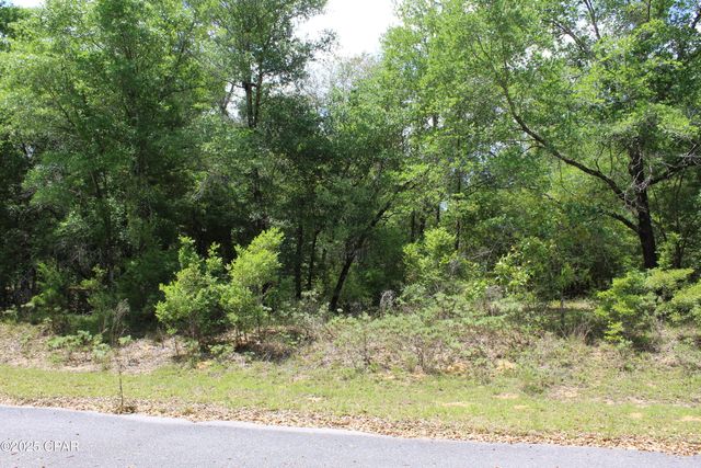 Lot 5 Arnone Lane, Chipley, FL 32428