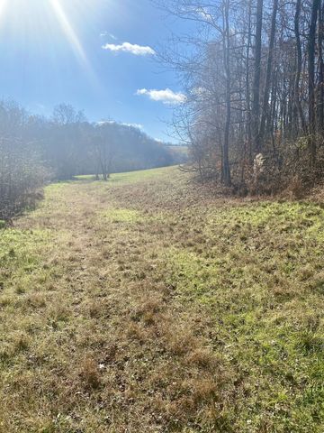 4570 Highway 64, E, Pulaski, TN 38478