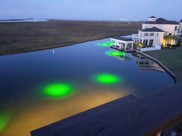 7 Little Torch, Hitchcock, TX 77563