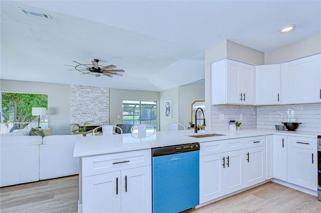 15143 SPRINGVIEW STREET, Tampa, FL 33624