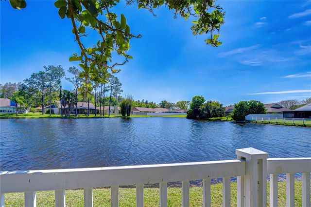 15143 SPRINGVIEW STREET, Tampa, FL 33624