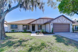 15143 SPRINGVIEW STREET, Tampa, FL 33624