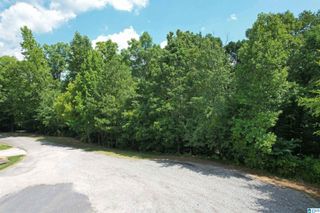 0 WEATHERTON TRAIL, Harpersville, AL 35078