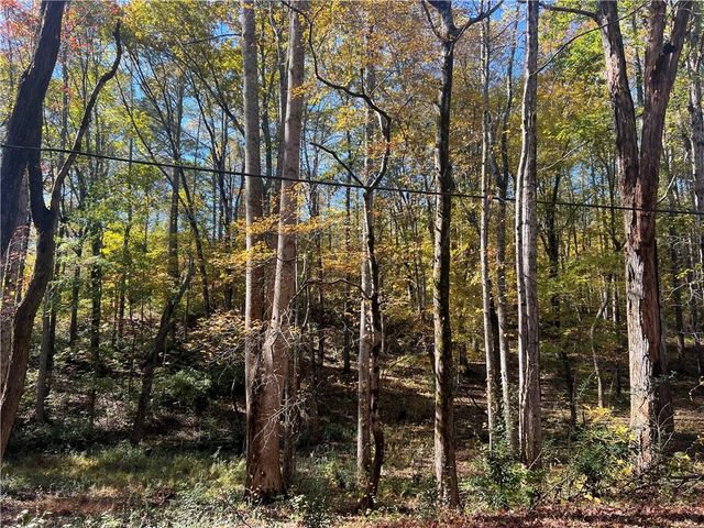 10494 Ball Ground Highway, Ball Ground, GA 30107