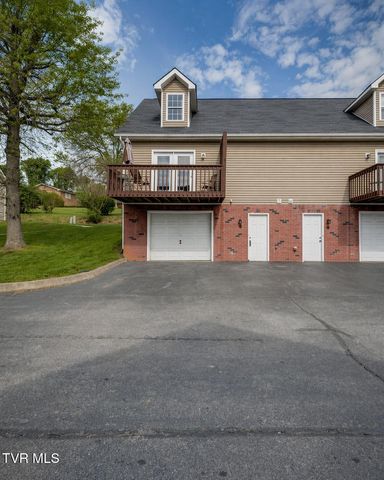 206 Cambridgeshire Court, Johnson City, TN 37615