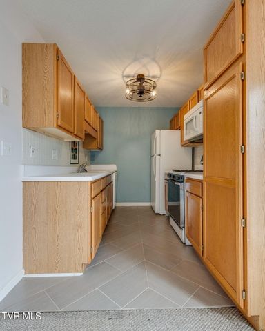 206 Cambridgeshire Court, Johnson City, TN 37615