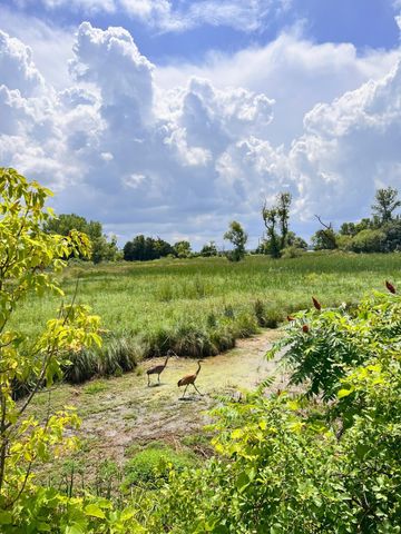 4746 Maas Court, Saint Bonifacius, MN 55375