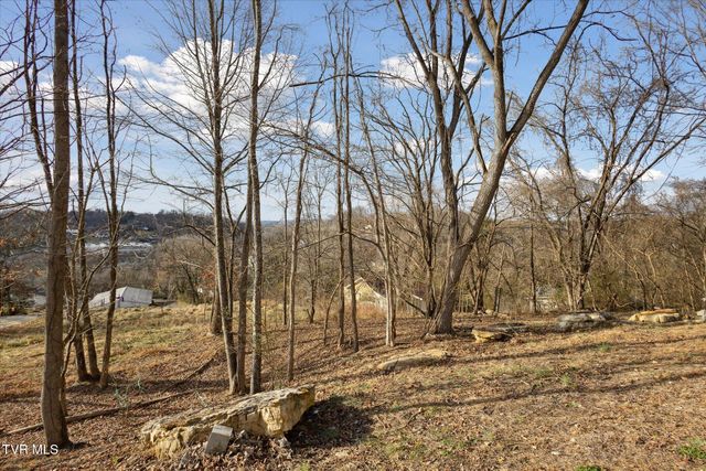 515 Aesque St Extension, Kingsport, TN 37665