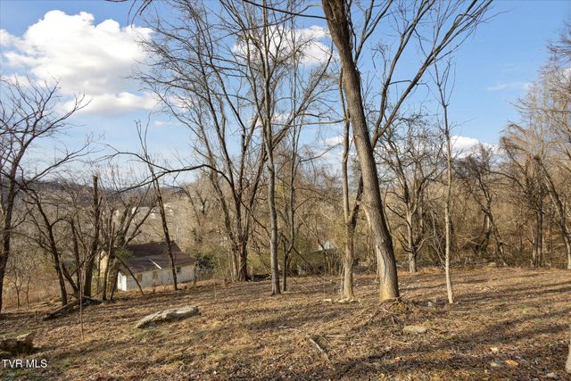 515 Aesque St Extension, Kingsport, TN 37665