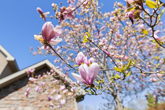 5613 MAJESTIC CIR, Columbia, MO 65203