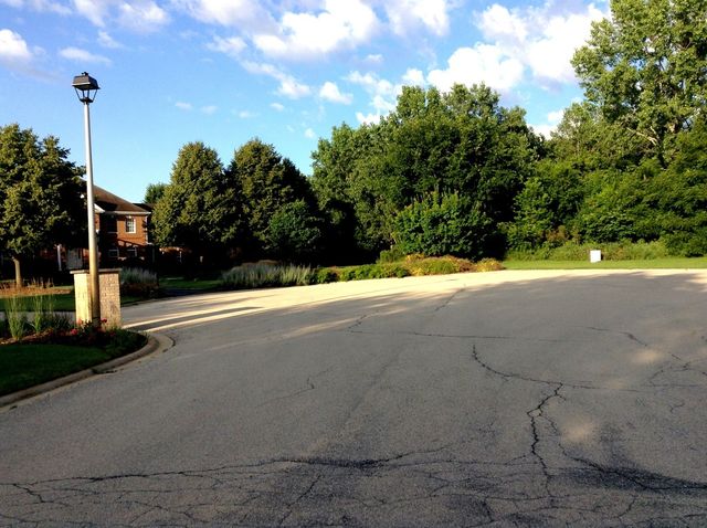 15450 W Purley Court, Homer Glen, IL 60491