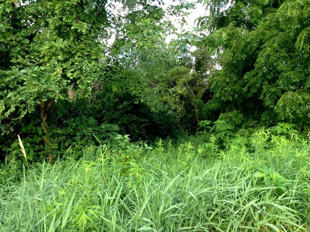 15450 W Purley Court, Homer Glen, IL 60491