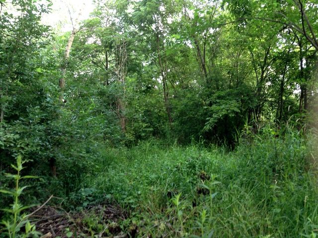 15450 W Purley Court, Homer Glen, IL 60491