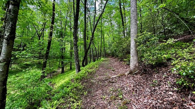 LT 12 Frances Drive, Ellijay, GA 30536