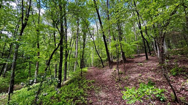 LT 12 Frances Drive, Ellijay, GA 30536