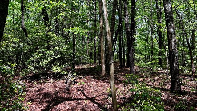 LT 12 Frances Drive, Ellijay, GA 30536