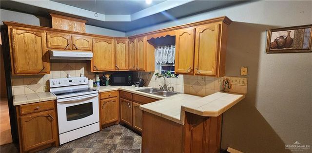 117 N Jo Beth Street, Alton, TX 78573