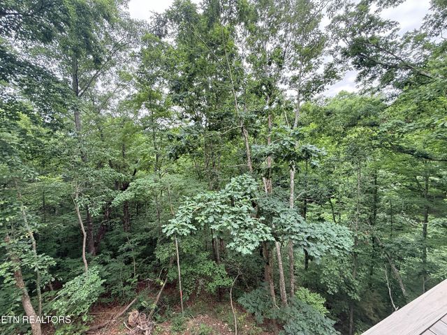 985 Soft Ridge Rd, Celina, TN 38551
