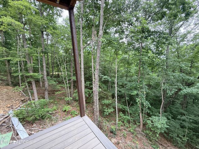 985 Soft Ridge Rd, Celina, TN 38551
