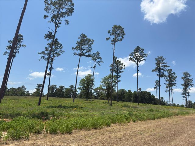 0 Addison Road, Livingston, TX 77351