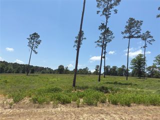 0 Addison Road, Livingston, TX 77351