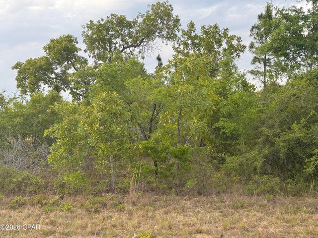 0000 Linden Street, Chipley, FL 32428