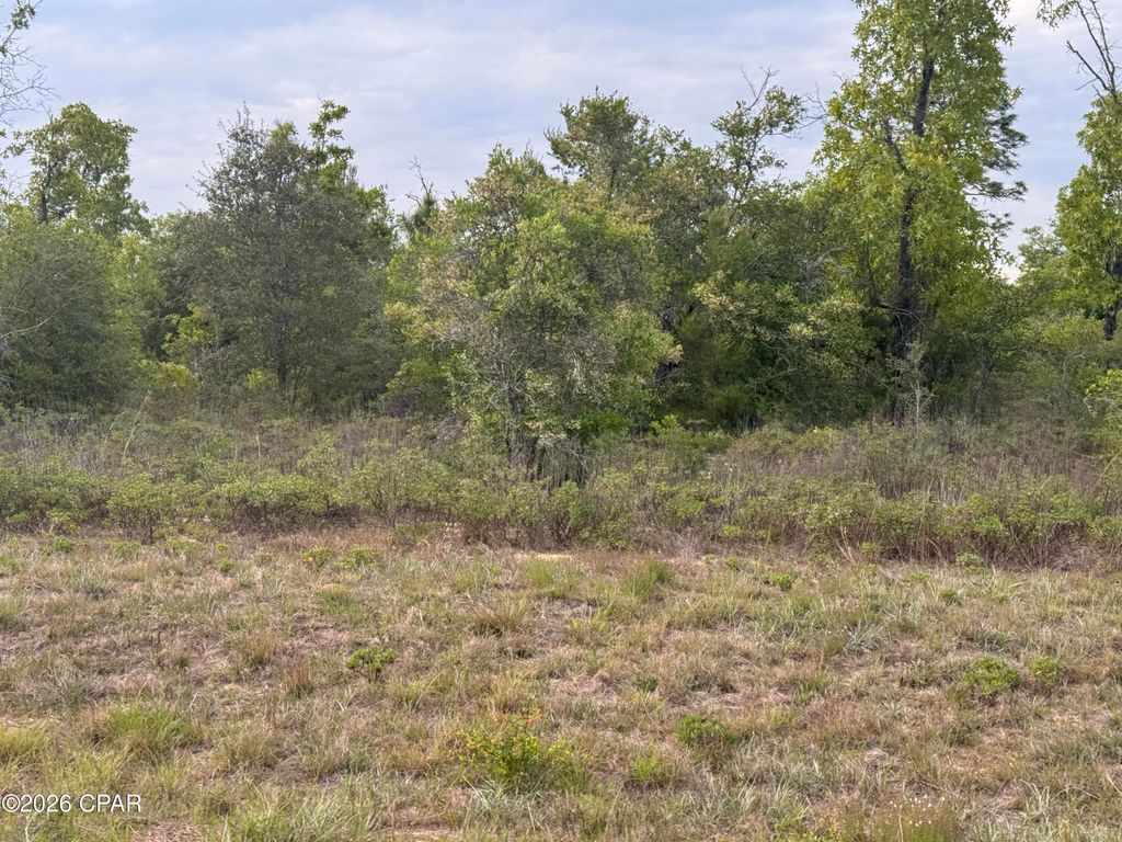 0000 Linden Street, Chipley, FL 32428