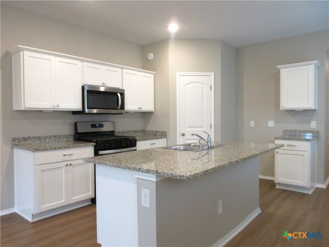 205 Granary Drive, Kyle, TX 78640