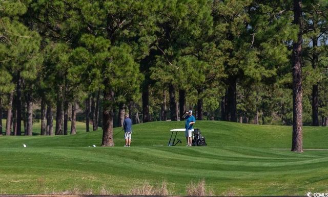 4635 Wild Iris Dr Apt 203, Myrtle Beach, SC 29577