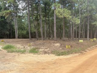 0 Deane Drive, Livingston, TX 77351