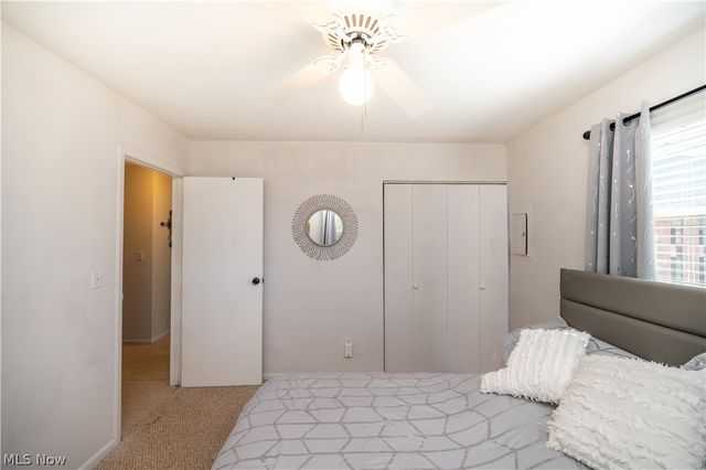 3659 Johnson Court, Canfield, OH 44406