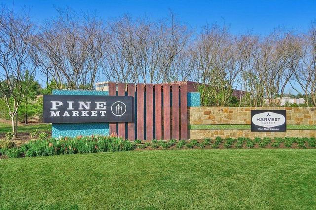 243 Soaring Pines Place, Montgomery, TX 77316