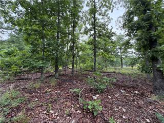 OFF OF Morgan Cave Road, Harrison, AR 72601