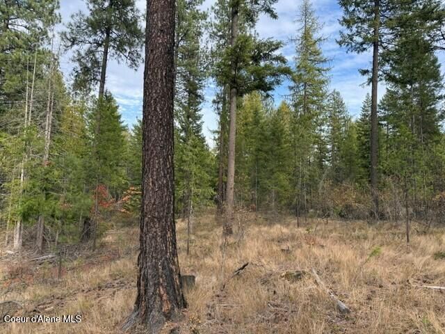 NNA Jachetta Rd, Priest River, ID 83856 property photo