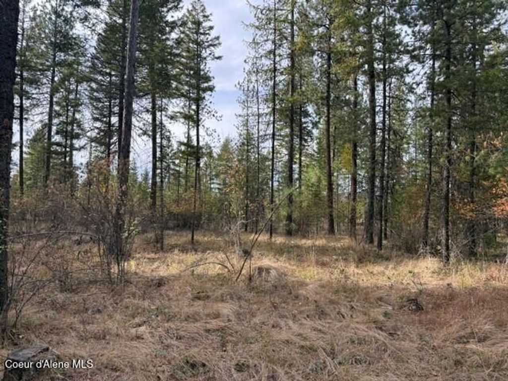 NNA Jachetta Rd, Priest River, ID 83856 photo 2