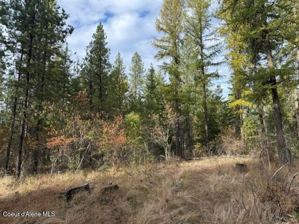 NNA Jachetta Rd, Priest River, ID 83856 photo 3