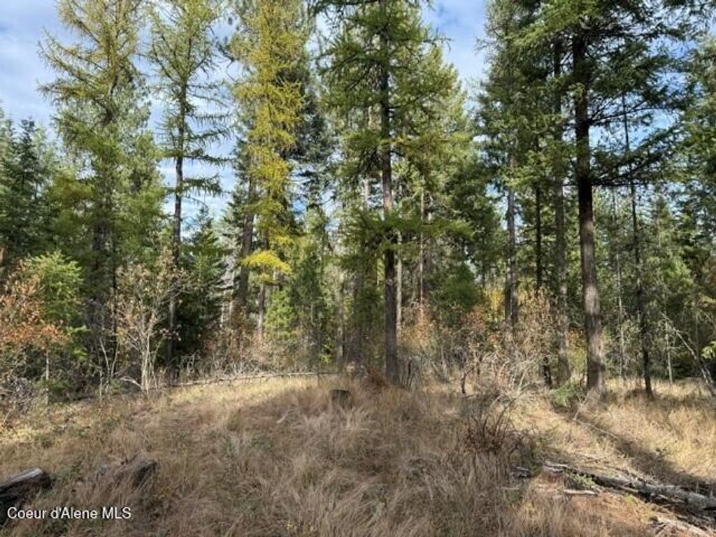 NNA Jachetta Rd, Priest River, ID 83856 photo 4