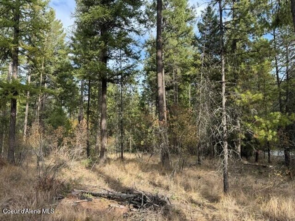 NNA Jachetta Rd, Priest River, ID 83856 photo 5