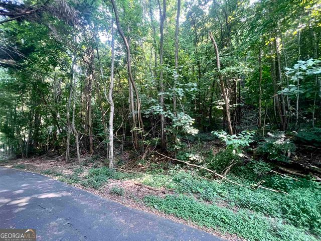 LOT 13 Chalet Drive, Sautee Nacoochee, GA 30571