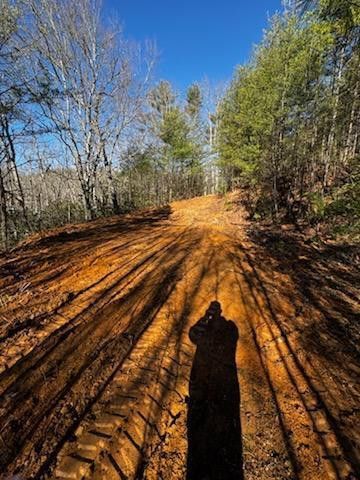 Lot 16 Paradise, Marble, NC 28905