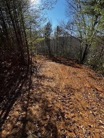 Lot 16 Paradise, Marble, NC 28905