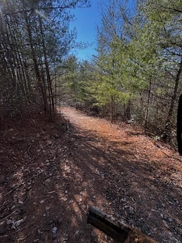 Lot 16 Paradise, Marble, NC 28905