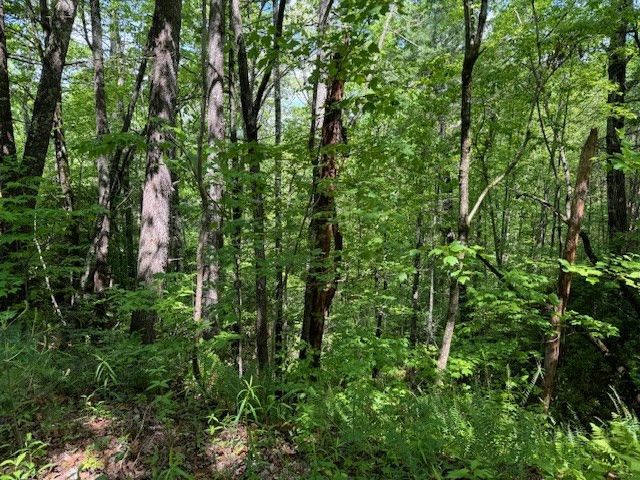 Lot 16 Paradise, Marble, NC 28905
